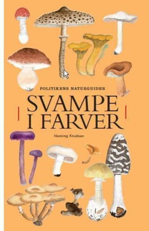 Svampe i farver