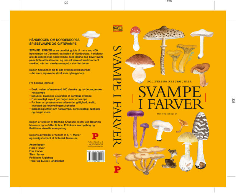 Svampe i farver