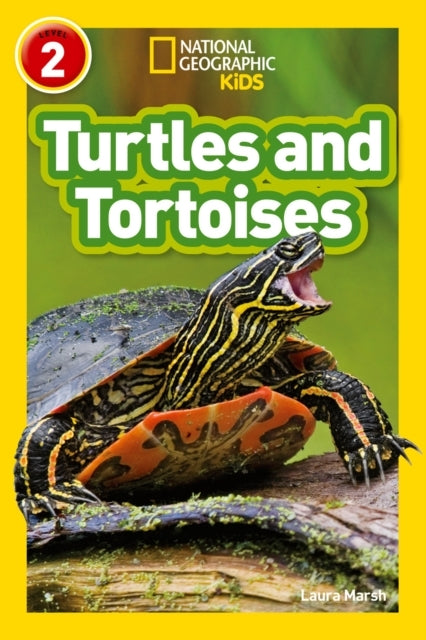 Turtles and Tortoises Level 2