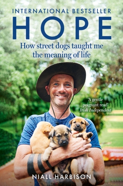 Hope How Street Dogs Taught Me the Meaning of Lifefeaturin