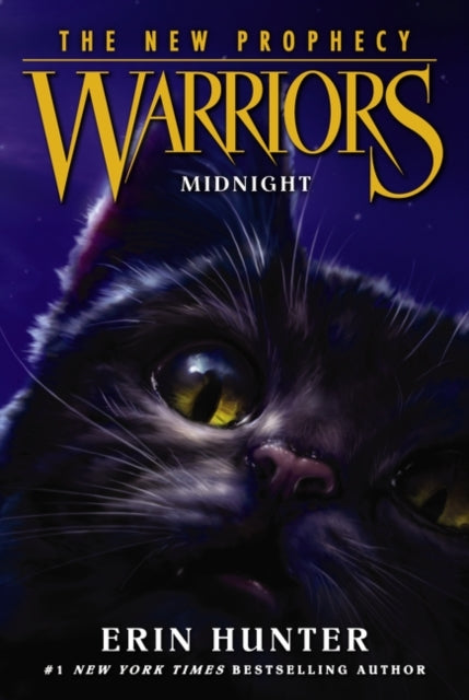 Warriors