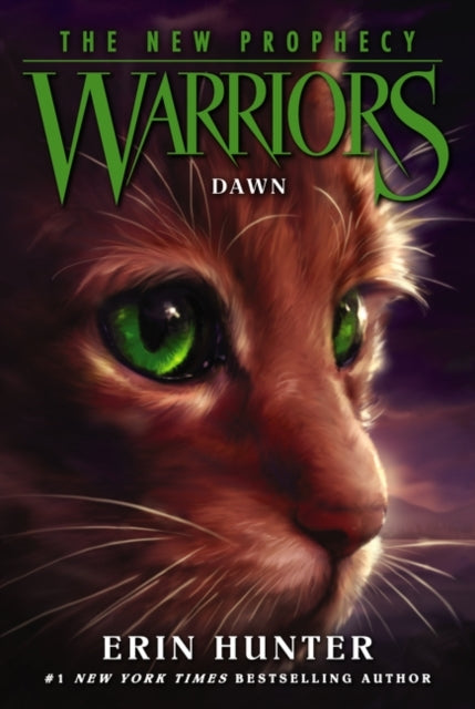 Warriors
