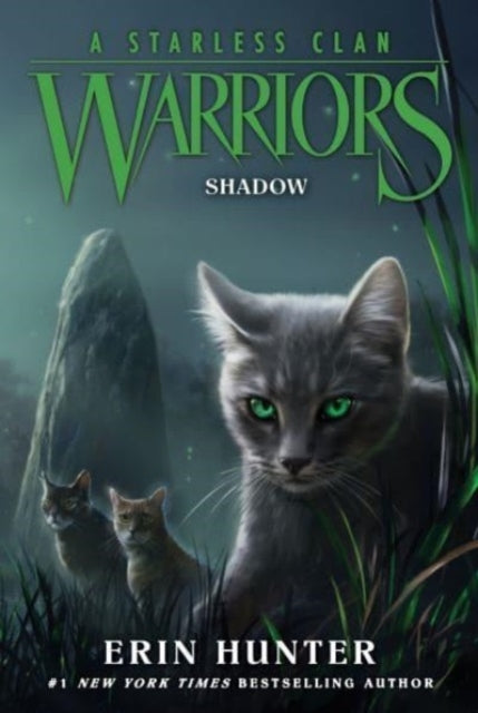 D2 Warriors a Starless Clan #3 Shadow