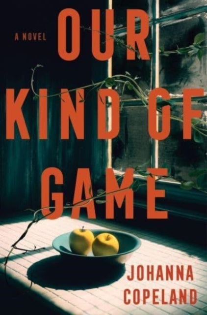 Our Kind Of Game A Novel