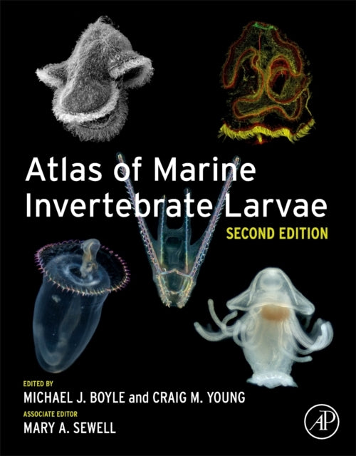 Atlas Of Marine Invertebrate Larvae
