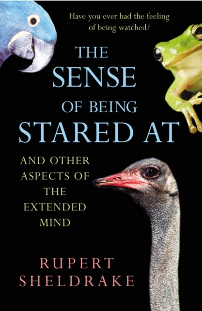 The Sense of Being Stared at