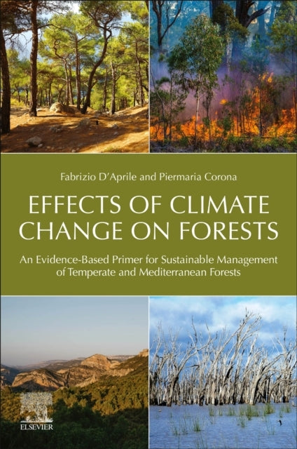 Effects Of Climate Change On Forests An Evidence-Based Prime