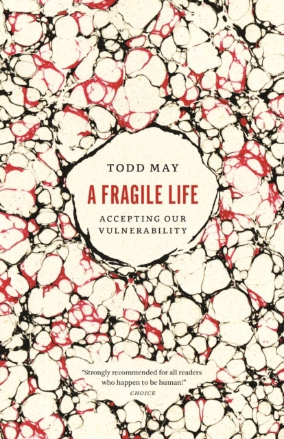 A Fragile Life Accepting Our Vulnerability