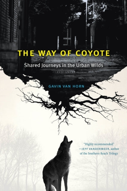 The Way Of Coyote
