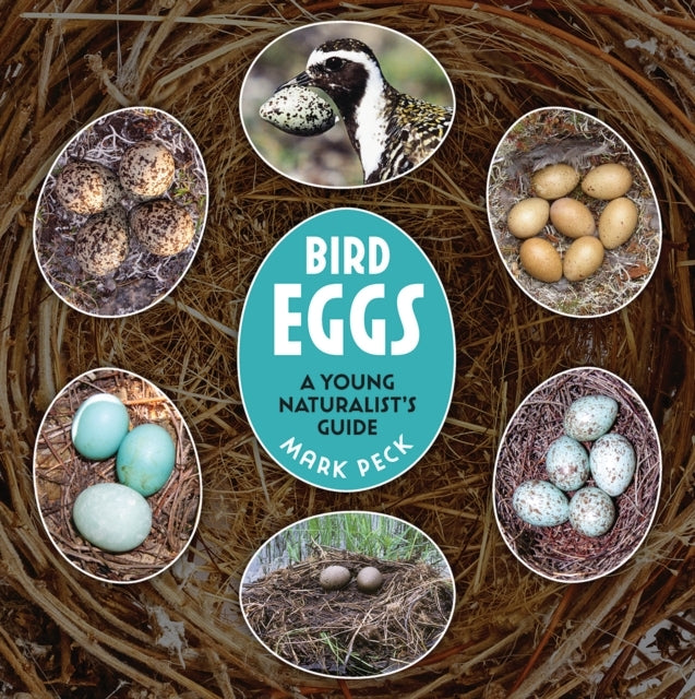 Bird Eggs A Young Naturalist's Guide
