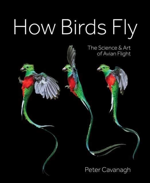 How Birds Fly The Science And Art Of Avian Flight