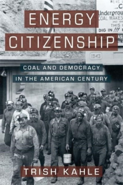 Energy Citizenship Coal And Democracy In The American Centur