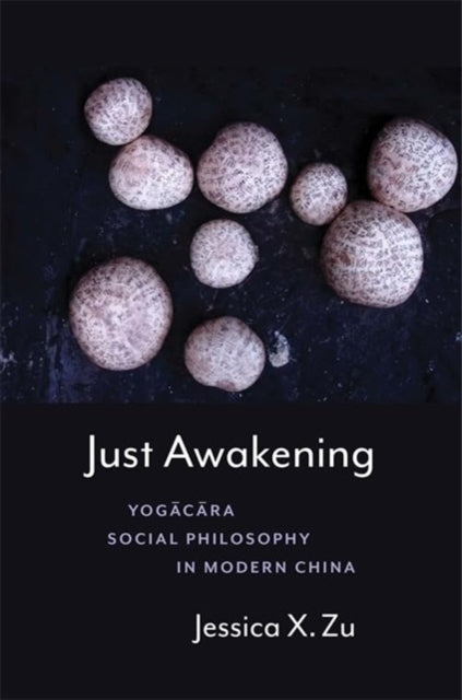 Just Awakening Yogacara Social Philosophy In Modern China
