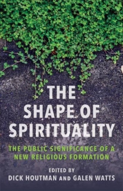 The Shape Of Spirituality The Public Significance Of A New R