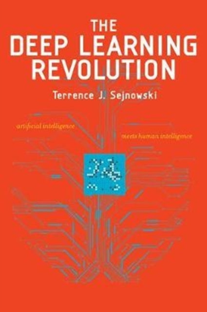 The Deep Learning Revolution