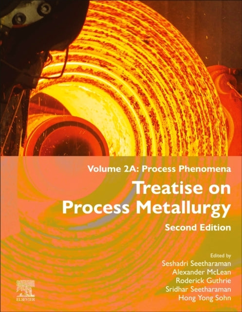 Treatise On Process Metallurgy Volume 2A: Process Phenomena