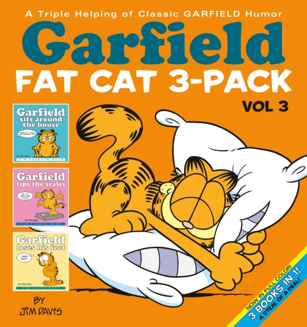 Garfield Fat Cat 3-pack #3