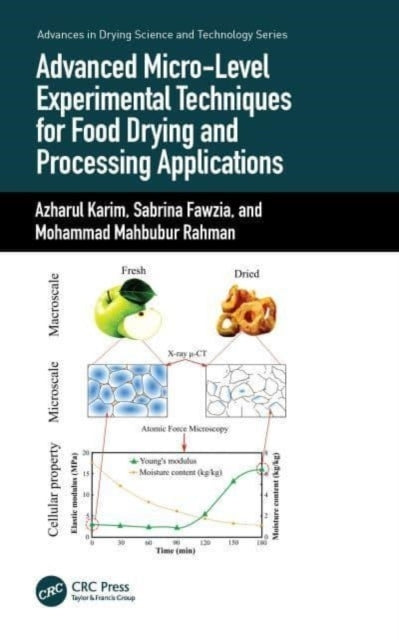 Advanced Micro-Level Experimental Techniques For Food Drying