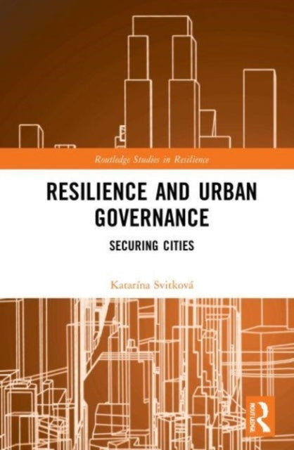 Resilience And Urban Governance Securing Cities