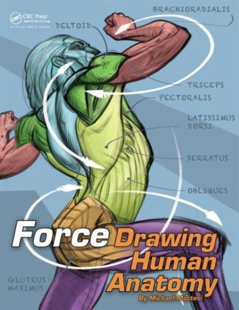 Drawing Human Anatomy with Force