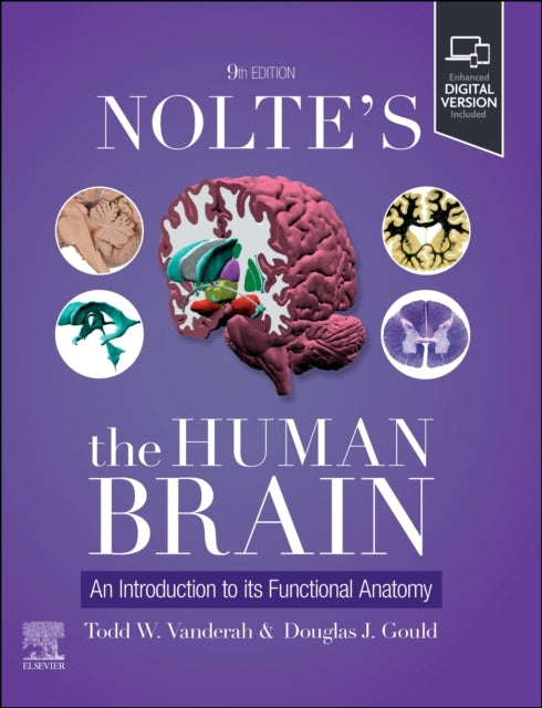 Nolte's The Human Brain An Introduction To Its Functional An
