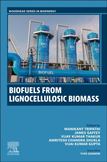 Biofuels And Bioproducts From Lignocellulosic Materials Volu