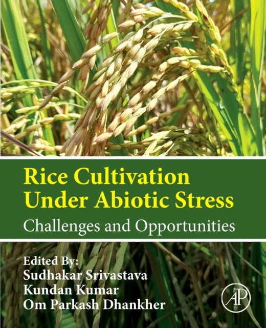 Rice Cultivation Under Abiotic Stress Challenges and Opportu