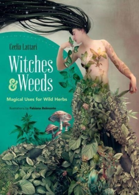 Witches And Weeds Magical Uses For Wild Herbs