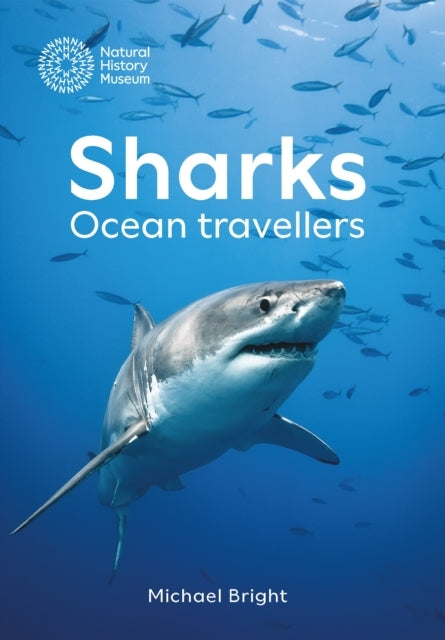 Sharks Ocean Travellers