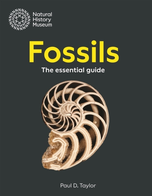 Fossils The Essential Guide