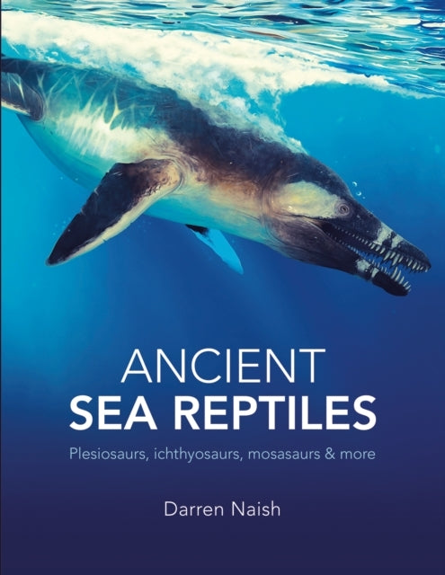 Ancient Sea Reptiles Plesiosaurs, Ichthyosaurs, Mosasaurs An