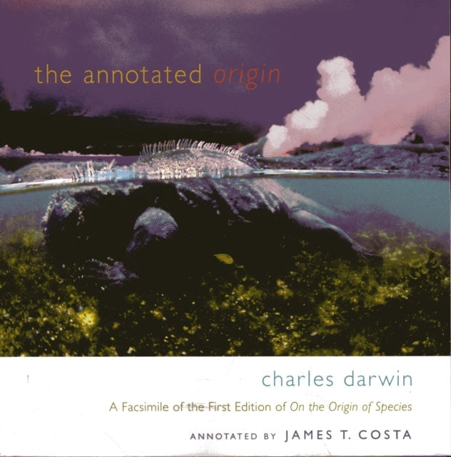 The Annotated Origin