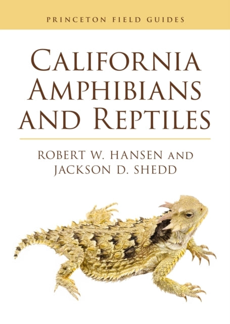 California Amphibians And Reptiles