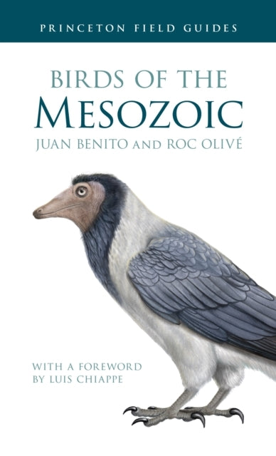 Birds of The Mesozoic