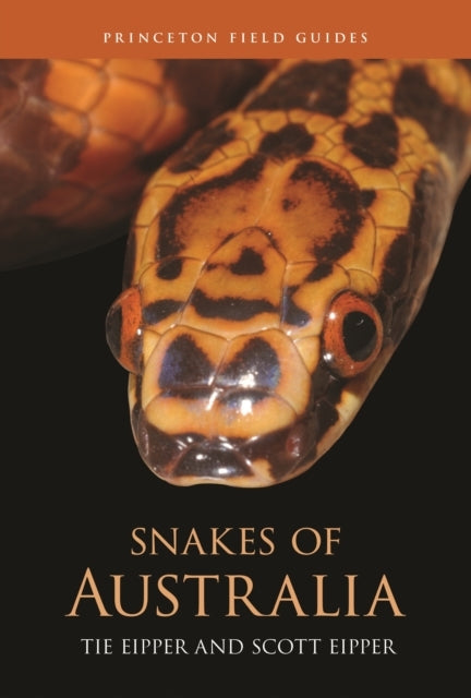 Snakes Of Australia