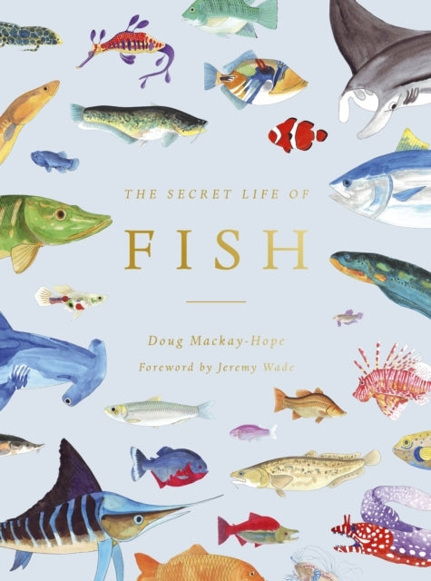 The Secret Life Of Fish The Astonishing Truth About Our Aqua