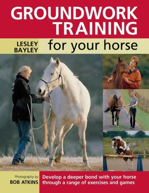 Groundwork Training for your Horse