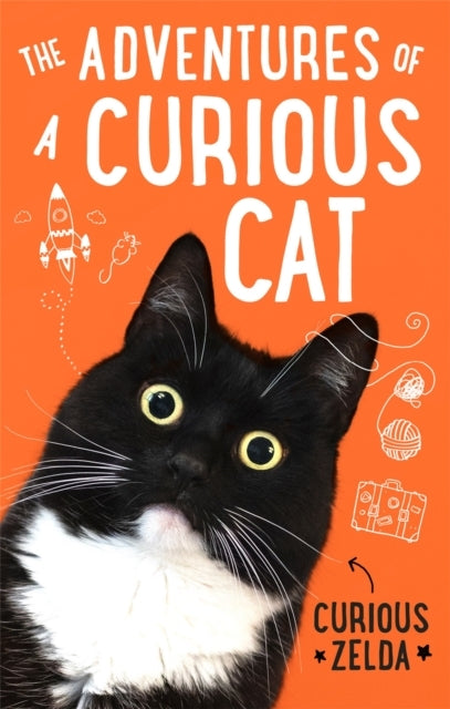 The Adventures Of A Curious Cat Wit And Wisdom From Curious