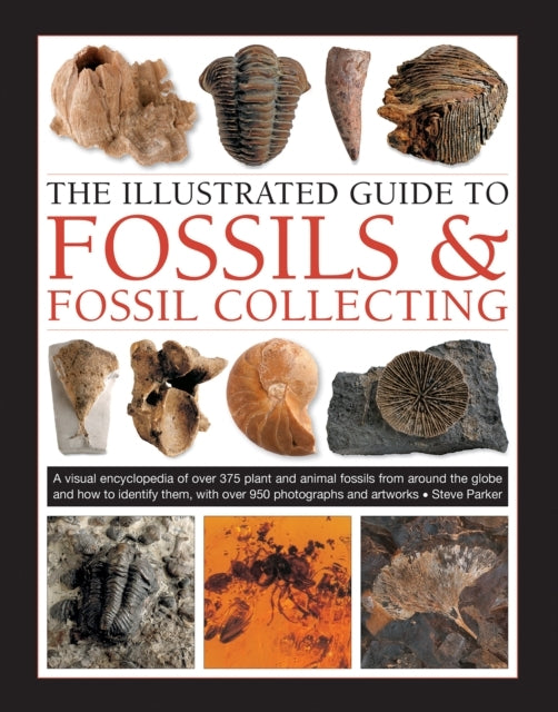 Fossils & Fossil Collecting, the Illustrated Guide to a Refe