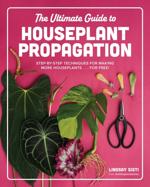 The Ultimate Guide To Houseplant Propagation Step-By-Step Te