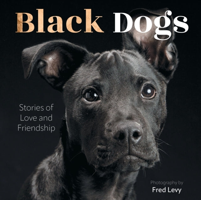 Black Dogs Stories of Love and Friendship