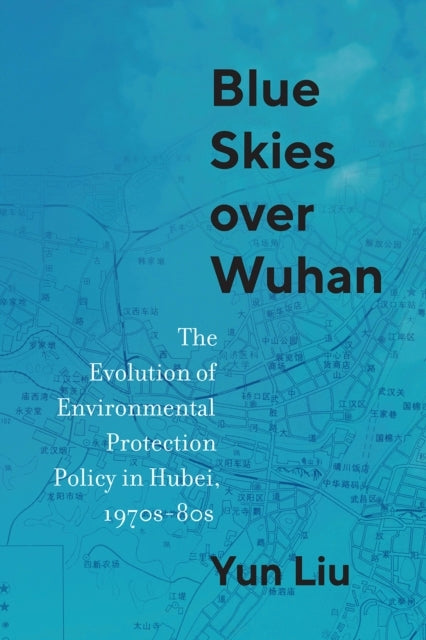 Blue Skies Over Wuhan The Evolution of Environmental Protect