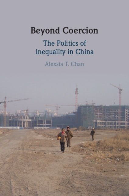 Beyond Coercion The Politics Of Inequality In China