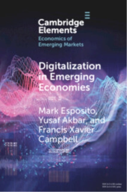 Digitalization In Emerging Economies