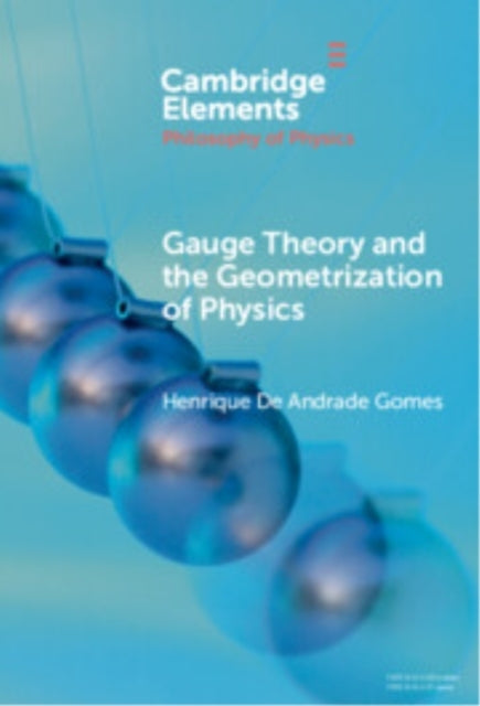 Gauge Theory And The Geometrisation Of Physics