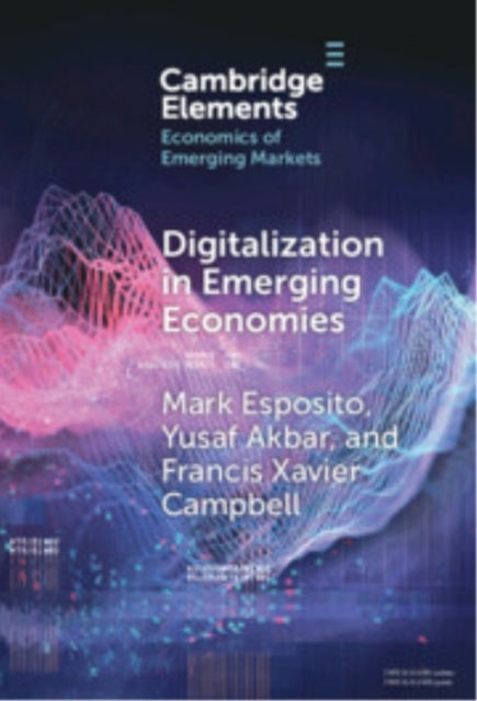 Digitalization In Emerging Economies
