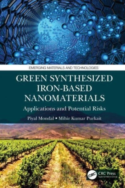 Green Synthesized Iron-Based Nanomaterials Applications and
