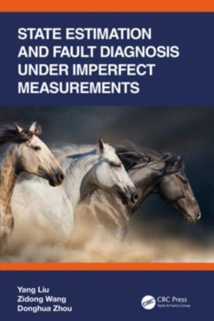 State Estimation And Fault Diagnosis Under Imperfect Measure