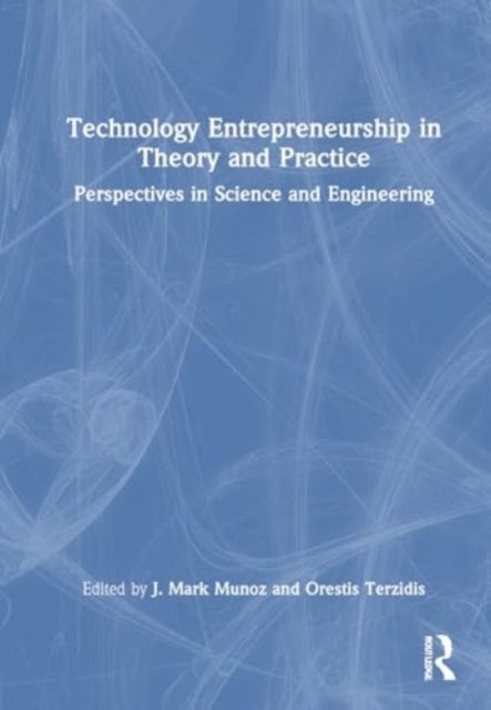 Technology Entrepreneurship In Theory And Practice Perspecti