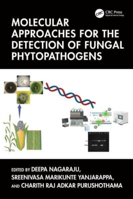 Molecular Approaches For The Detection of Fungal Phytopathog